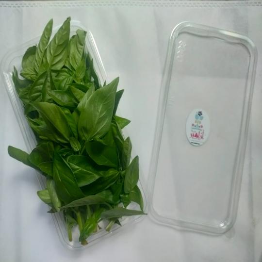 ريحان ايطالى